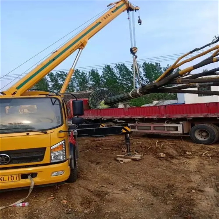 岳口镇100吨吊车租赁费用怎么算？3大关键因素+省钱技巧全解析